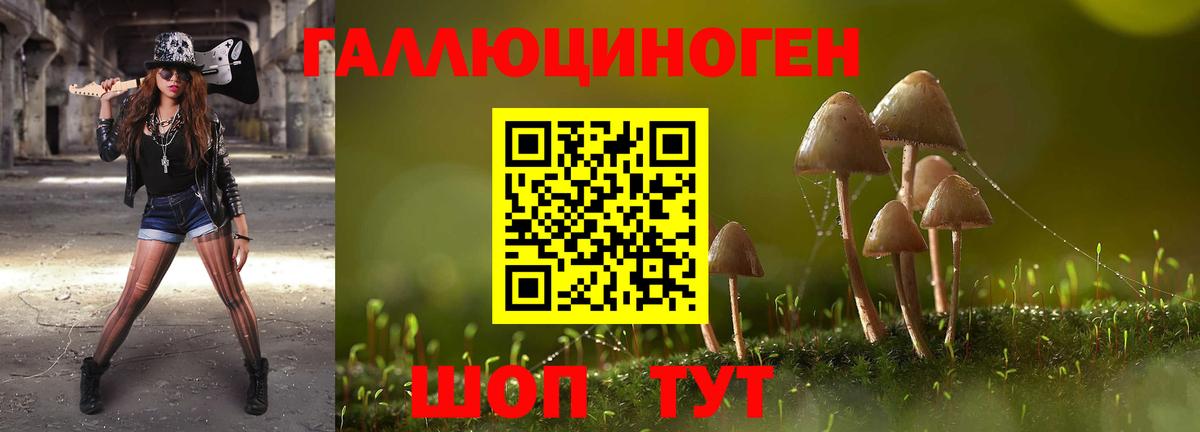 Димитровград  Псилоцибиновые грибы Cubensis  купить закладку  Вход с VPN 